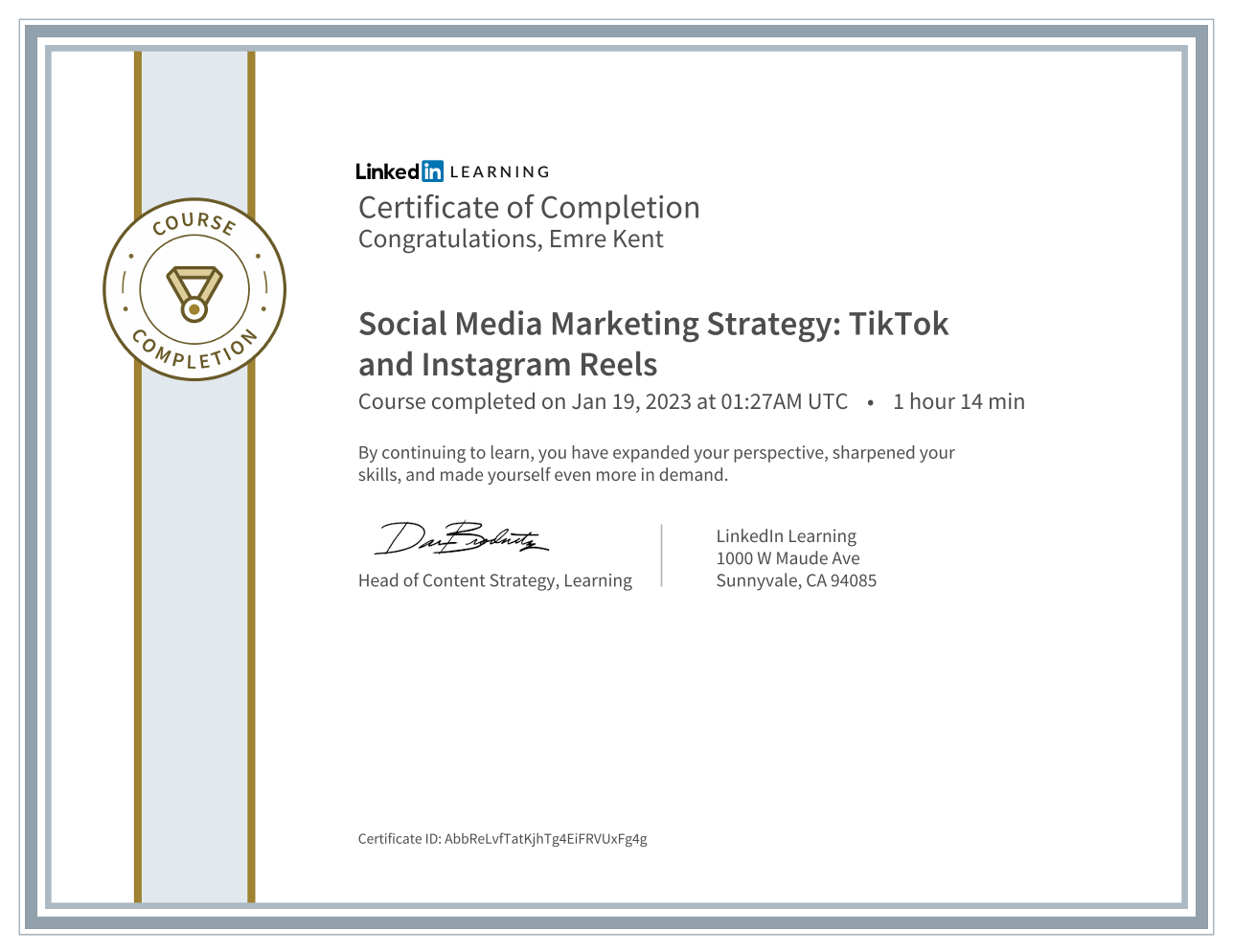 Social Media Marketing Strategy: TikTok and Instagram Reels